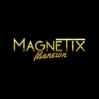 Magnetix Mansion